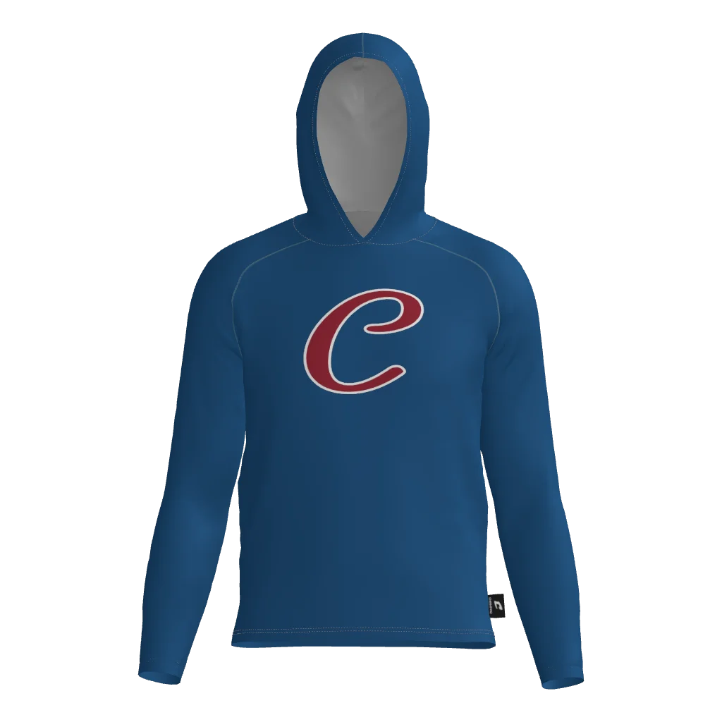 Cubs DTF Long Sleeve Dri Gear T-Shirt Hoodie