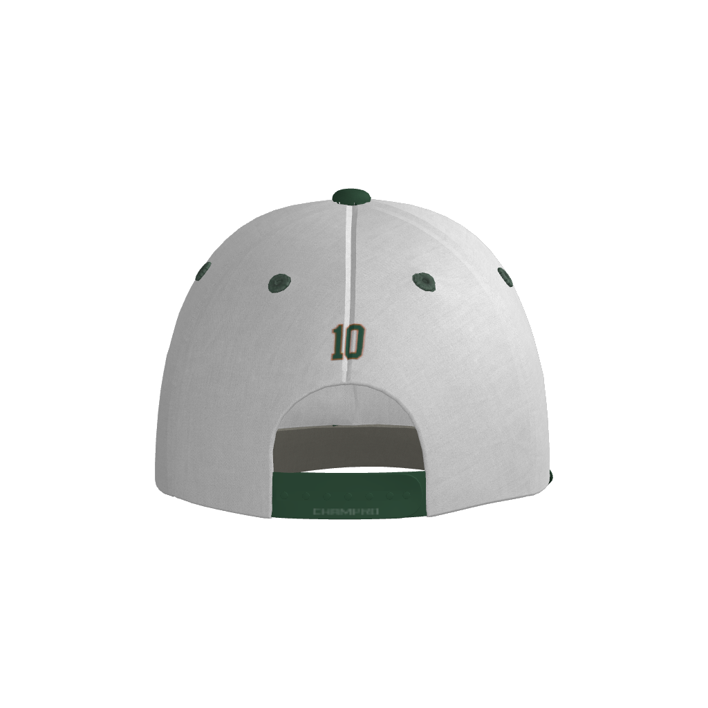 Dirt Dragons Pennant Snapback Game Cap - White/Forest Green