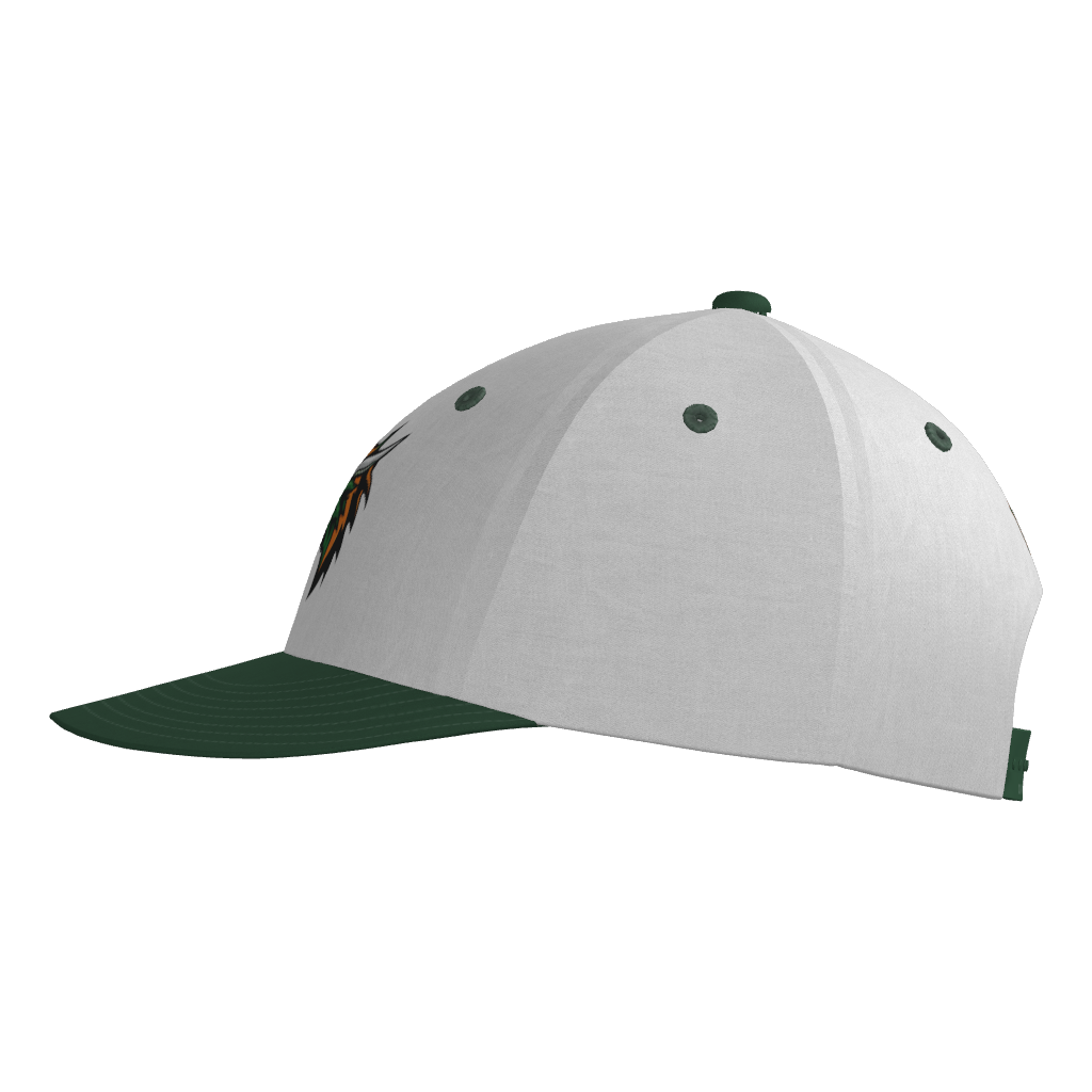 Dirt Dragons Pennant Snapback Game Cap - White/Forest Green