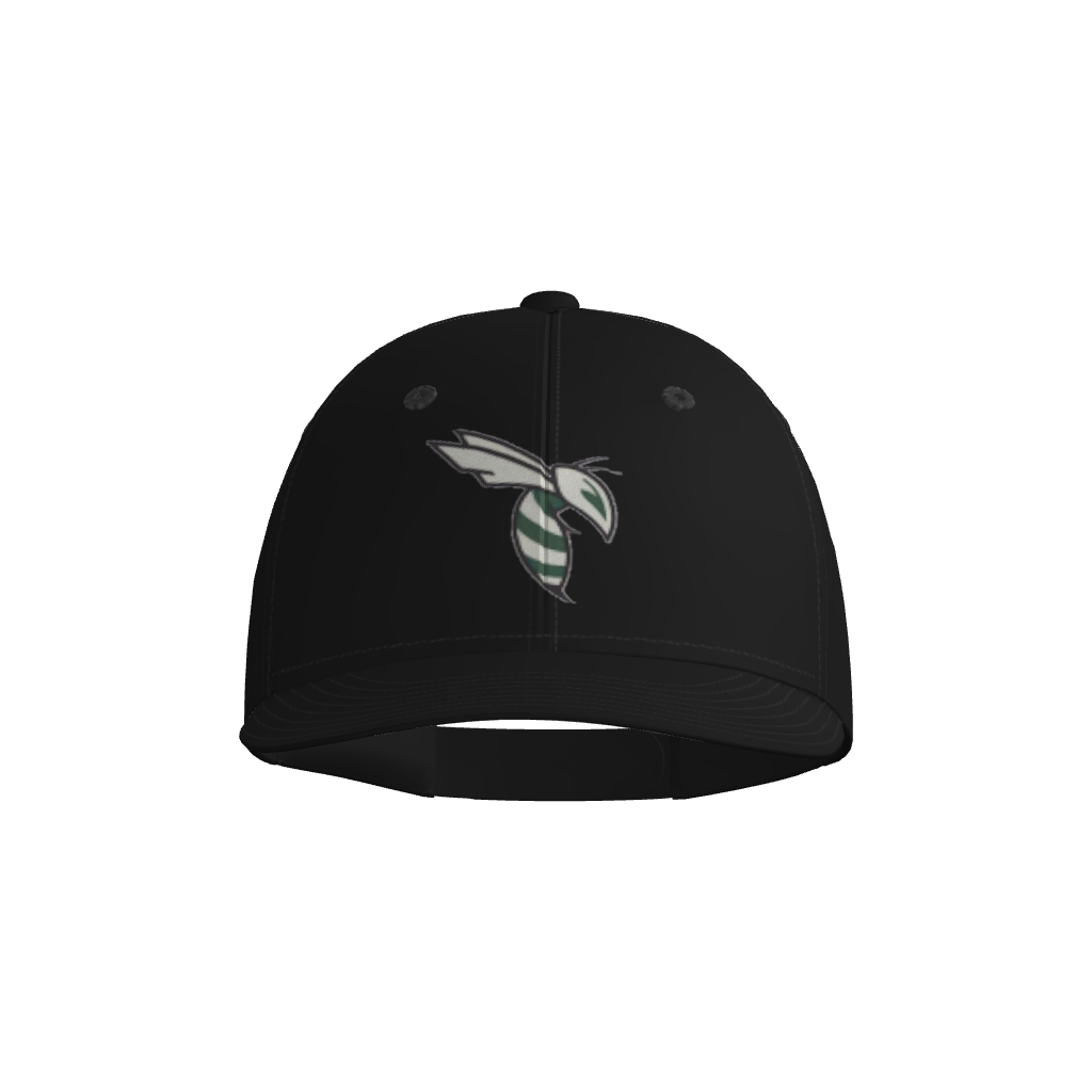 Carter Hornets T-Ball Pennant Snapback Game Cap With Express Shipping