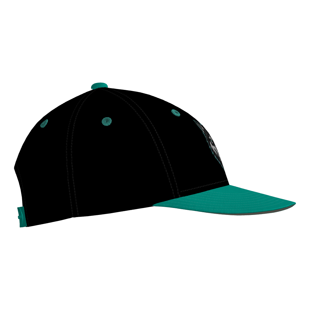 Ridge Runners Pennant Snapback Game Cap