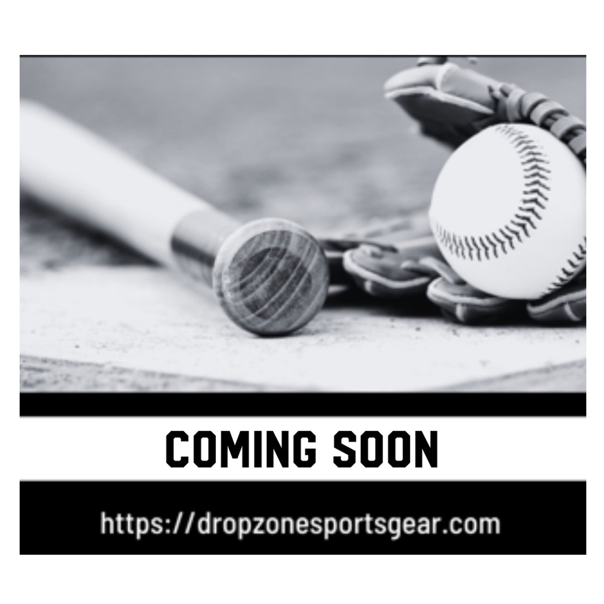 Used 2025 Louisville Slugger Atlas 29/19 USSSA Certified Drop 10
