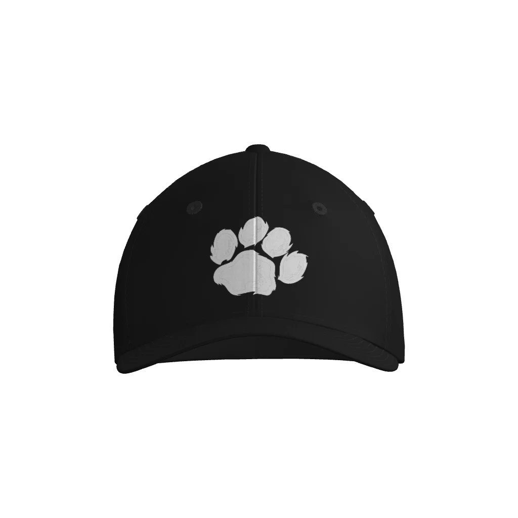 Campbell County Middle School Champro MVP Game Cap - Black