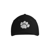 Campbell County Middle School Champro MVP Game Cap - Black