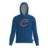 Cubs DTF Long Sleeve Dri Gear T-Shirt Hoodie