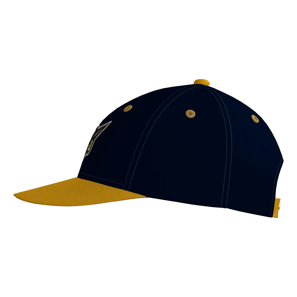 Hoots Pennant Snapback Game Cap