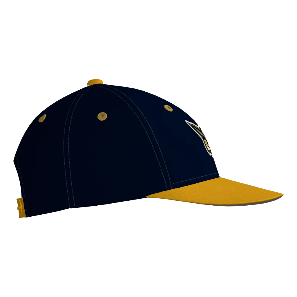 Hoots Pennant Snapback Game Cap