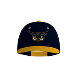 Hoots Pennant Snapback Game Cap