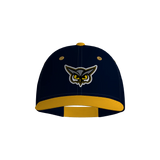 Hoots Pennant Snapback Game Cap