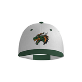 Dirt Dragons Pennant Snapback Game Cap - White/Forest Green