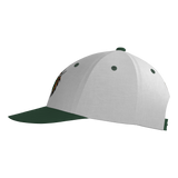 Dirt Dragons Pennant Snapback Game Cap - White/Forest Green