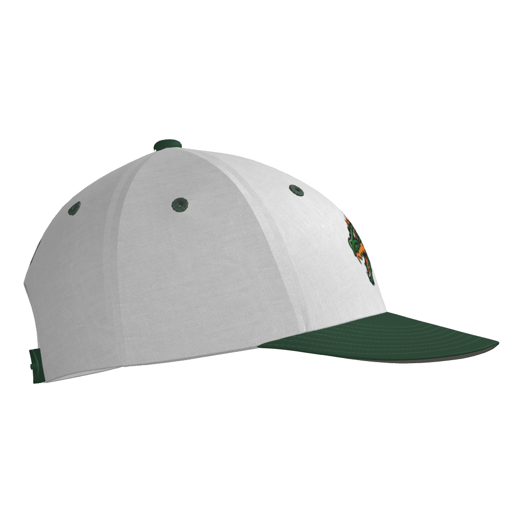 Dirt Dragons Pennant Snapback Game Cap - White/Forest Green