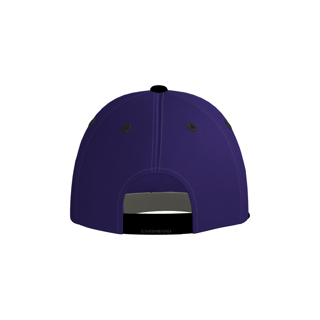 Alcoa Vipers Purple Pennant Snapback Game Cap