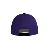 Alcoa Vipers Purple Pennant Snapback Game Cap