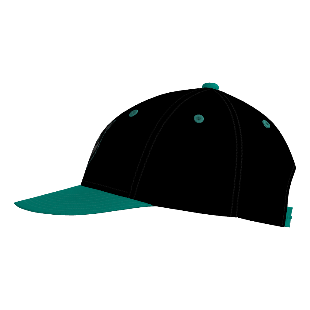 Ridge Runners Pennant Snapback Game Cap