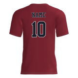 Raptors Short Sleeve Dri-Gear DTF Tee Shirt W/ Name & Number