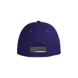 Diamond Ducks Pennant Snapback Game Cap
