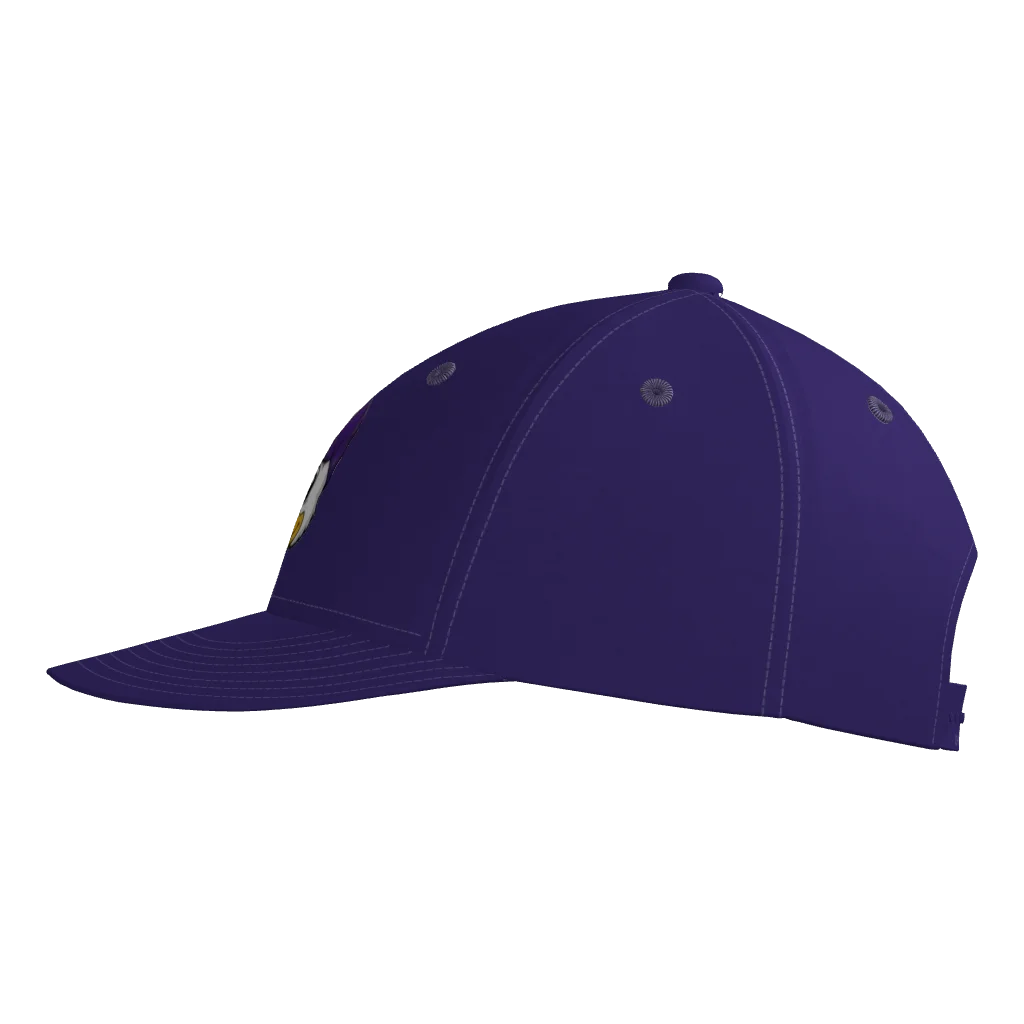 Diamond Ducks Pennant Snapback Game Cap
