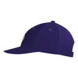 Diamond Ducks Pennant Snapback Game Cap