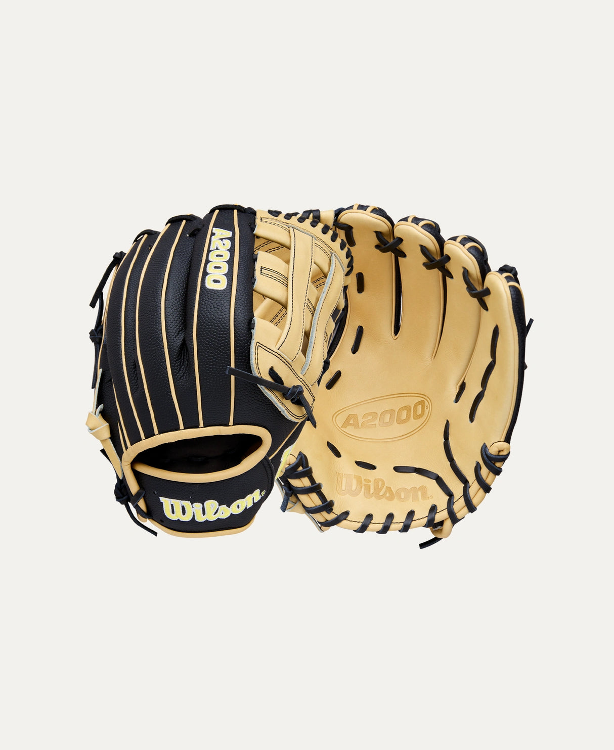New 2026 A2000® Classics Series DW5 Dual Post Web 12in - Black/Blonde