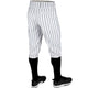 Champro Triple Crown 2.0 Pinstripe Knicker Pant - White W/Black Stripe