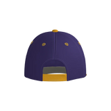 Tigers Pennant Snapback Game Cap