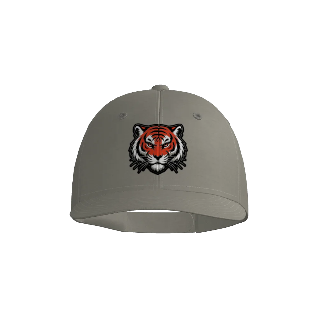 Tigers Pennant Snapback Game Cap
