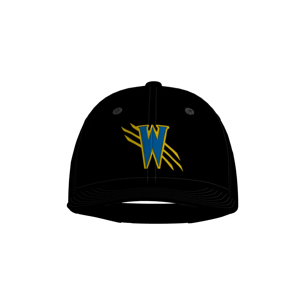 Wolverines Pennant Snapback Game Cap
